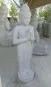 morepic-1